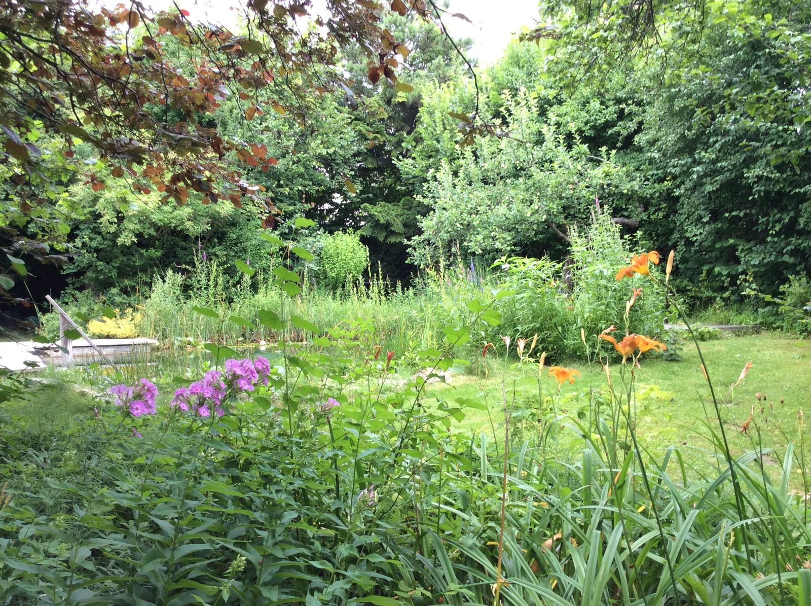 Garten 8 – Schwimmteichs